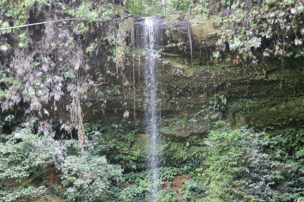 A Picturesque Hike In The Lambir Hills National Park In Miri Sarawak