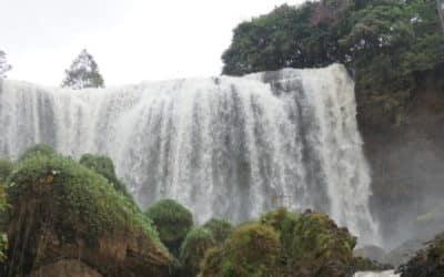 A List of Magnificent Things to do in Dalat – Vietnam
