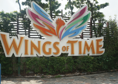 Wings of time