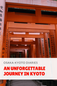 Osaka-Kyoto diaries
