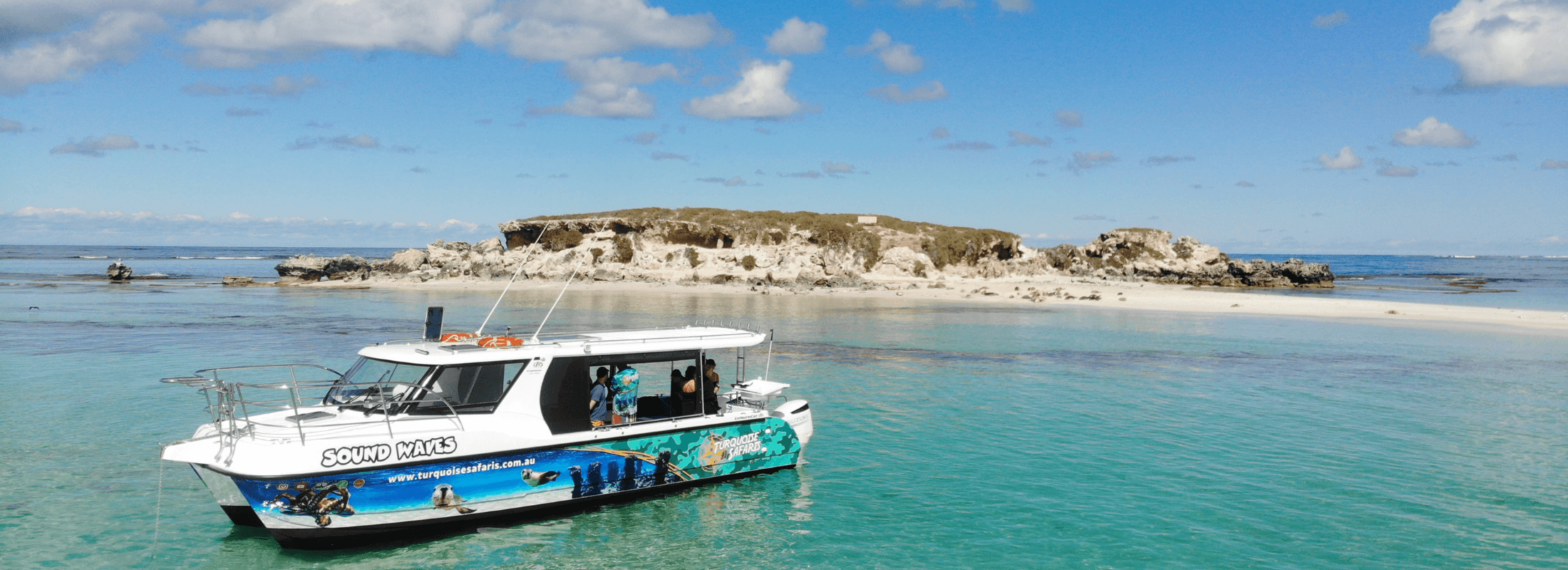 sea lion tours jurien bay