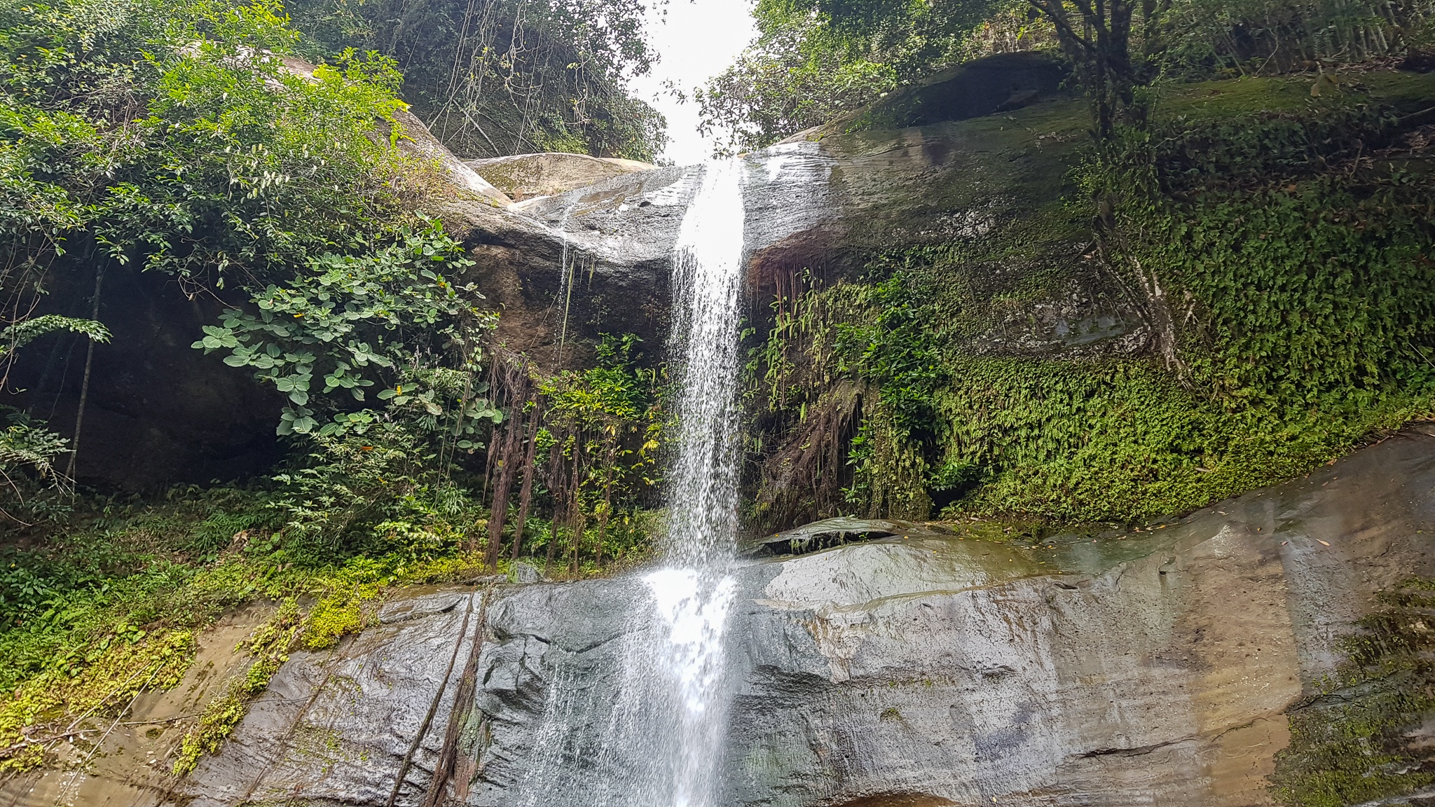 Hiking In Sarawak With Backyard Tours: The Borneo Rainforest In Kuching