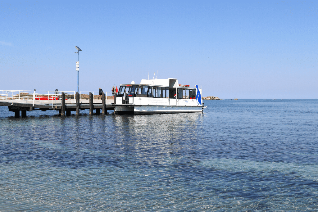 Penguin Island ferry