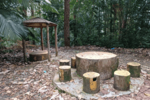Penang hill hiking