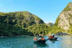 Best Cruises Halong Bay